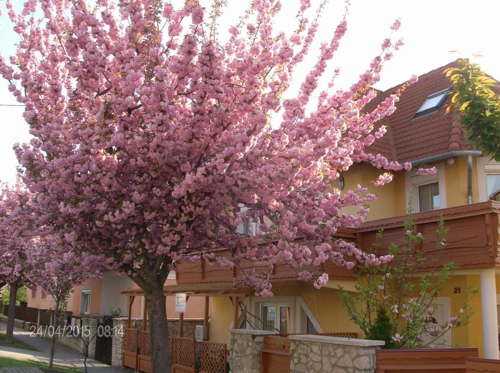 Zsuzsanna Haz Hotel Hévíz Buitenkant foto